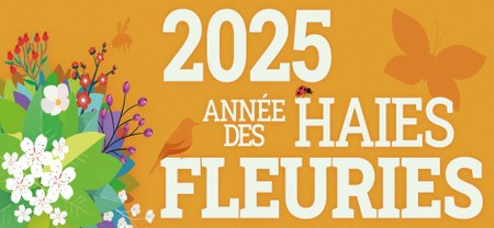 Illustration de l'actualité - cliquer pour agrandir