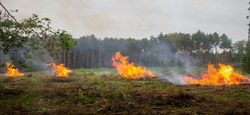 09/08 - Sécheresse : Arrêté de police du 08 août 2022 de Madame la Gouverneure ff concernant certaines interdictions relatives au risque d'incendie