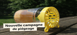 16/01 - Frelon asiatique : nouvelle campagne de piègeage