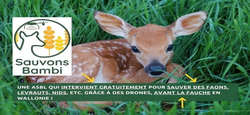 26/03 - Sauvons Bambi : Projet gratuit de détection de la faune sauvage dans vos cultures/prairies de fauche