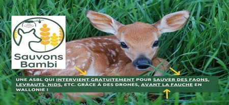 Illustration de l'actualité - cliquer pour agrandir
