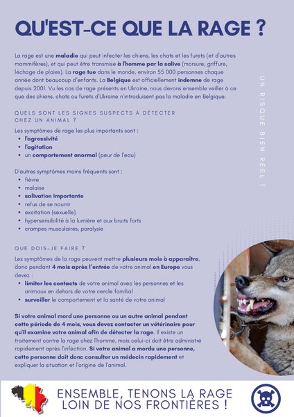 flyer_upv