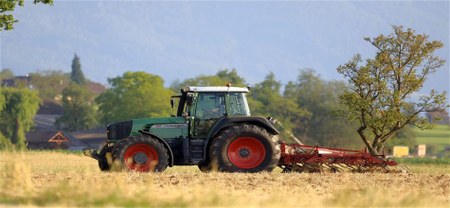 Illustration de l'actualité - cliquer pour agrandir