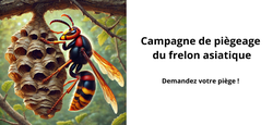 29/03 - Campagne de piégeage du frelon asiatique