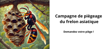 Illustration de l'actualité - cliquer pour agrandir