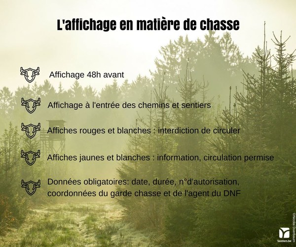 Img_Affichage chasse