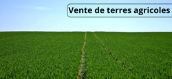 02/04 - Vente publique de terrains agricoles 2026