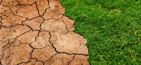 Illustration de l'actualité - cliquer pour agrandir