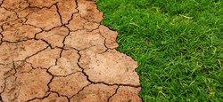 05/08 - Service Public de Wallonie - Cellule d’expertise sécheresse