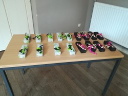  Certificat d'Etudes de Base 2019 