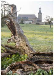  Gimnée, Eglise - Vue d'un ancien verger, Michel hubert 