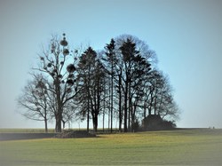  Gochenée, "Murmures", Alain Gillain 