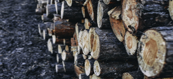 04/11 - Vente de bois de chauffage 2024 : les parts et les plans sont disponibles...