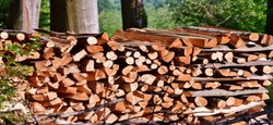 03/01 - Vente de bois de chauffage 2022 : Remise en vente des lots invendus le 16 décembre 2022