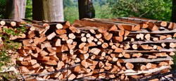 29/01 - Vente de bois de chauffage 2024 : Remise en vente des lots invendus le 20 décembre 2024