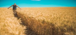 11/03 - Renouvellement de la commission agricole : candidatures agriculteurs - Prolongation