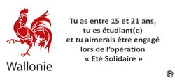 09/03 - Eté solidaire 2018 : l'appel aux candidatures est lancé