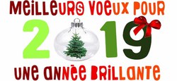 13/01 - Voeux communaux 2019
