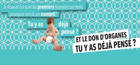 Illustration de l'actualité - cliquer pour agrandir